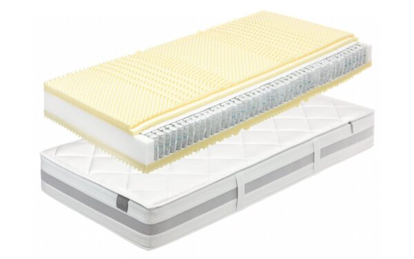 Royal Dream TFK 500 T